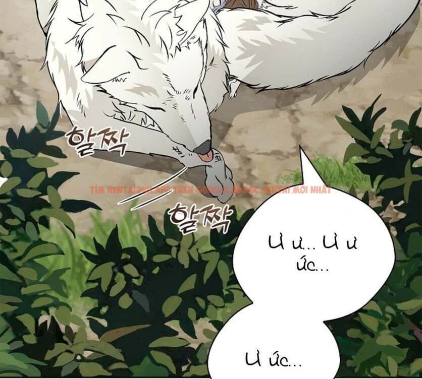 Xem ảnh 120 trong truyện hentai [18+] Cánh Hoa Ướt Át Của Thánh Nữ - Chapter 15 - hentaitvn.net