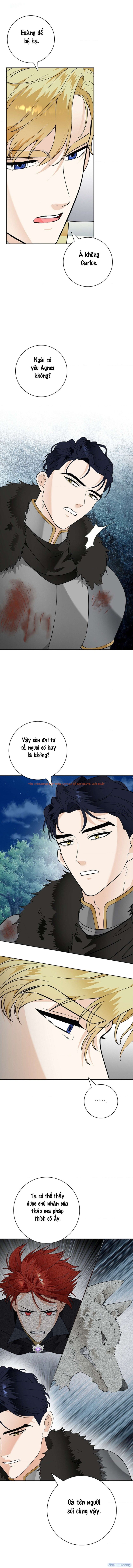 Xem ảnh 11 trong truyện hentai [18+] Cánh Hoa Ướt Át Của Thánh Nữ - Chapter 30 - hentaitvn.net