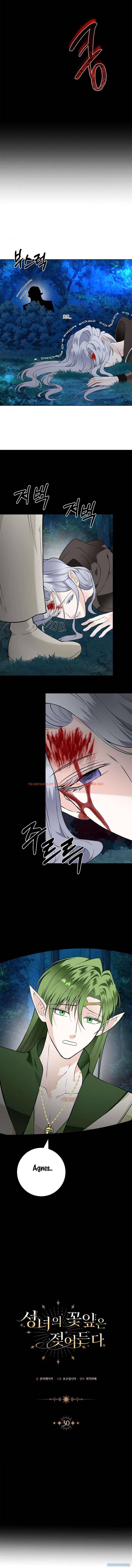 Xem ảnh 4 trong truyện hentai [18+] Cánh Hoa Ướt Át Của Thánh Nữ - Chapter 30 - hentaitvn.net