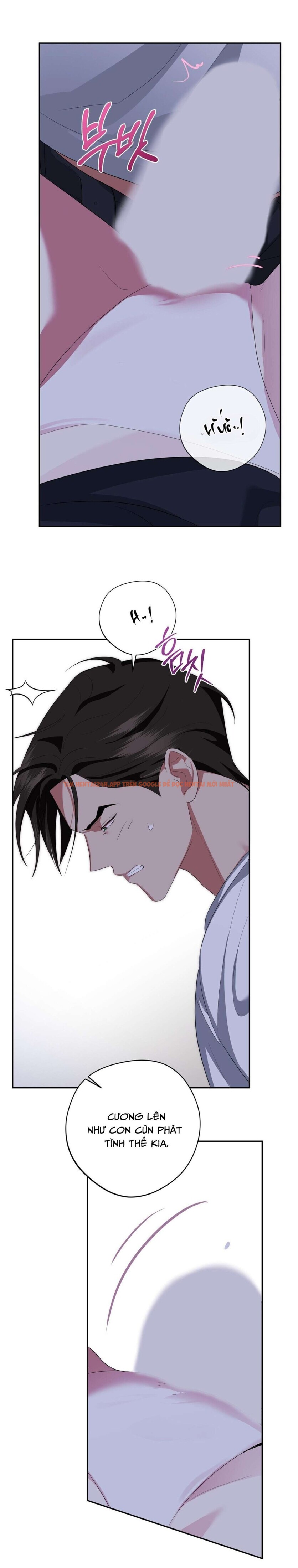 Xem ảnh [18+] Chưa Phải Đêm Mà Cảm Giác Như Đêm Rồi - Chapter 8 - 10 0 - Truyenhentaiz.net