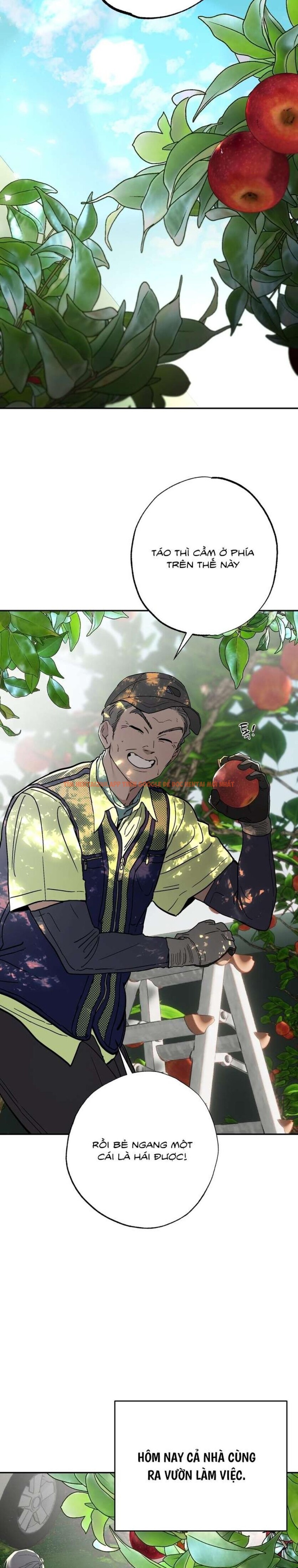 Xem ảnh [18+] Chuyện Tình Vườn Cây Ăn Quả - Chapter 10 - 1 0 - Truyenhentaiz.net