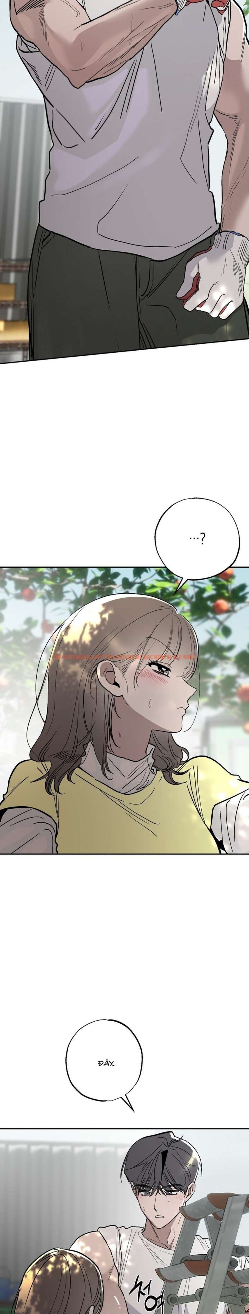 Xem ảnh [18+] Chuyện Tình Vườn Cây Ăn Quả - Chapter 10 - 2 4 - Truyenhentaiz.net