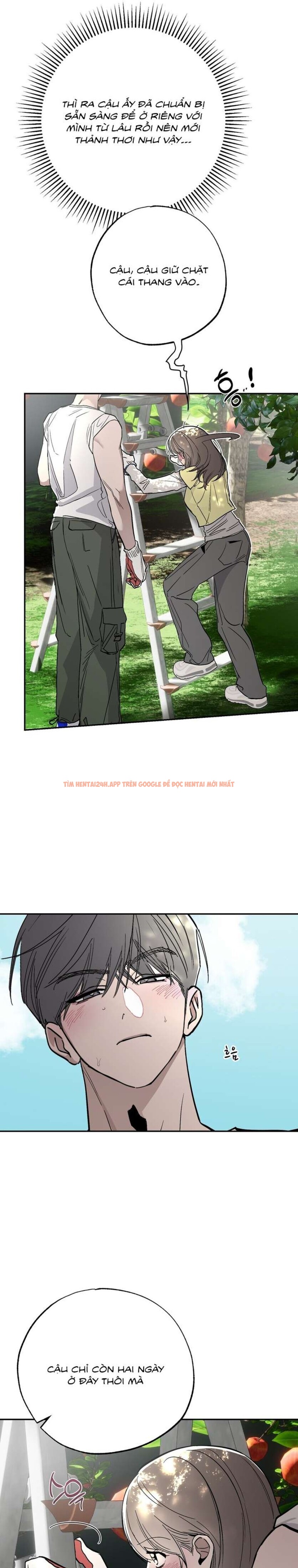 Xem ảnh [18+] Chuyện Tình Vườn Cây Ăn Quả - Chapter 10 - 3 0 - Truyenhentaiz.net