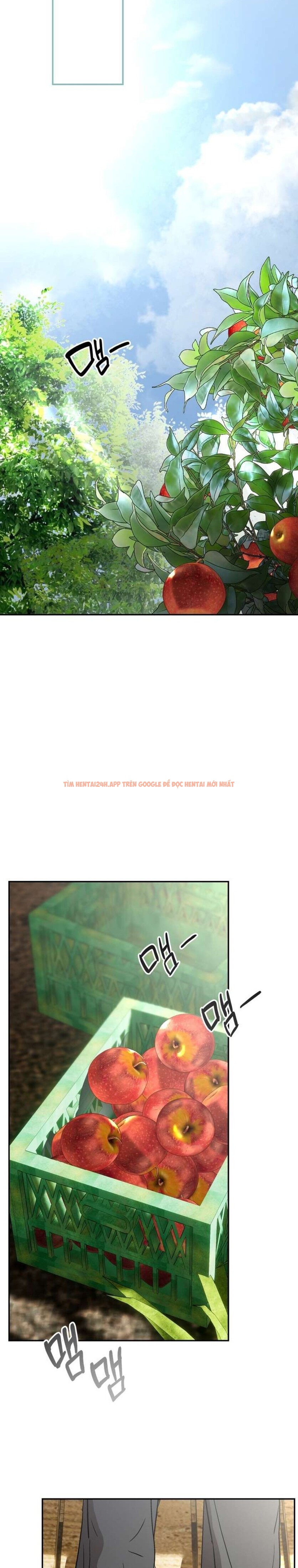 Xem ảnh [18+] Chuyện Tình Vườn Cây Ăn Quả - Chapter 10 - 3 4 - Truyenhentaiz.net