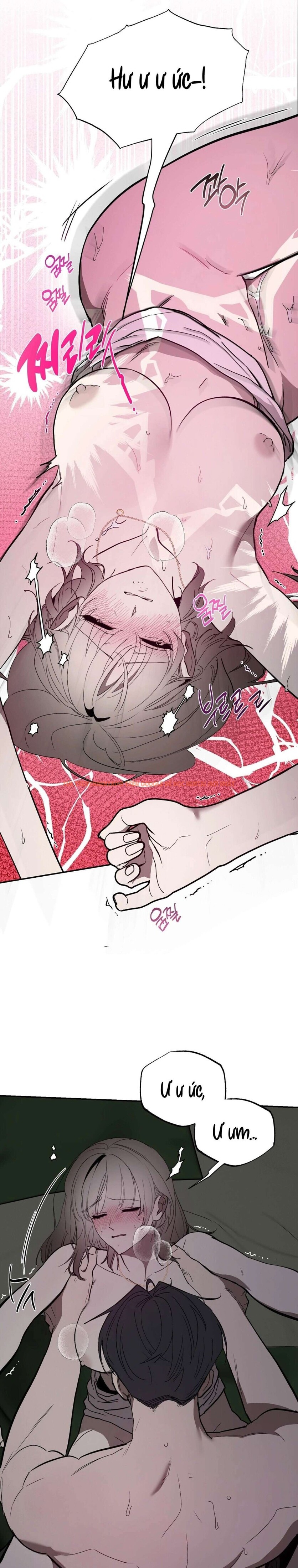 Xem ảnh 2 1 trong truyện hentai [18+] Chuyện Tình Vườn Cây Ăn Quả - Chapter 19 - hentaitvn.net