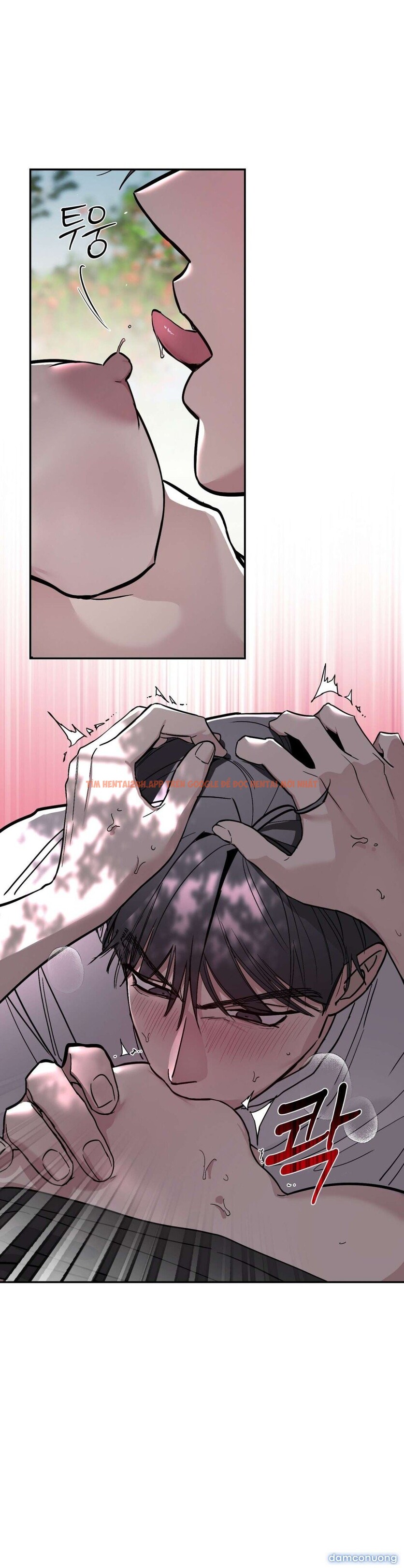 Xem ảnh [18+] Chuyện Tình Vườn Cây Ăn Quả - Chapter 4 - 12 1 - Truyenhentaiz.net