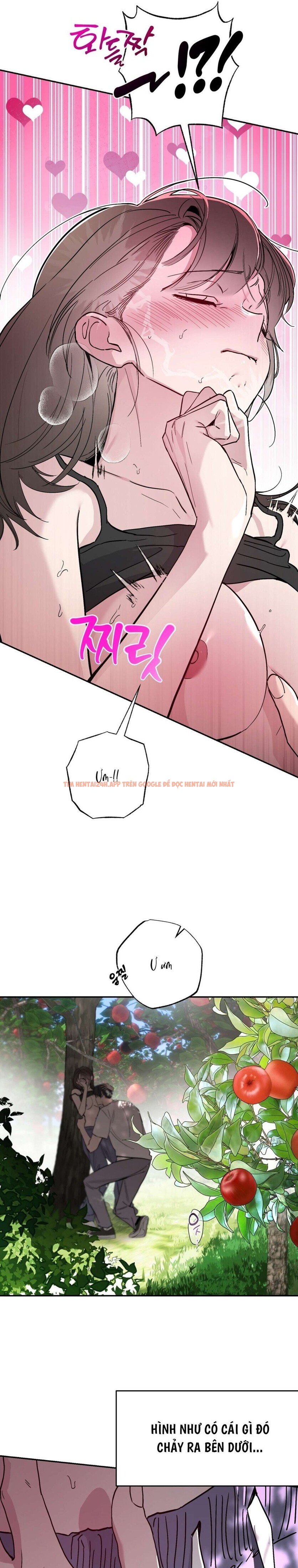 Xem ảnh [18+] Chuyện Tình Vườn Cây Ăn Quả - Chapter 4 - 13 0 - Truyenhentaiz.net