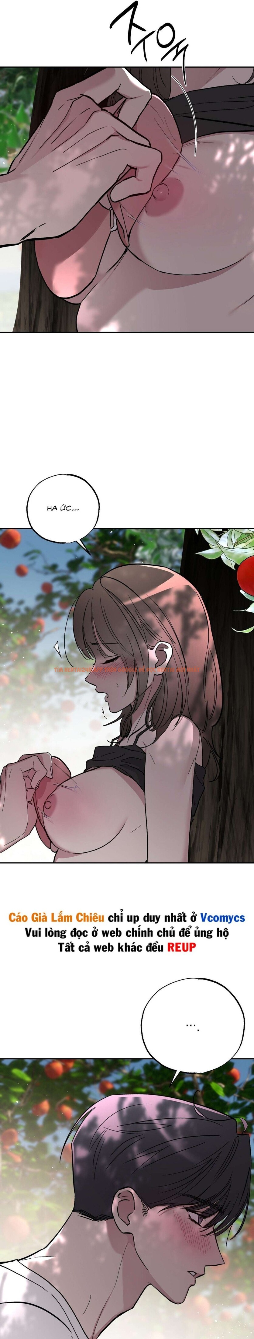 Xem ảnh [18+] Chuyện Tình Vườn Cây Ăn Quả - Chapter 4 - 7 0 - Truyenhentaiz.net