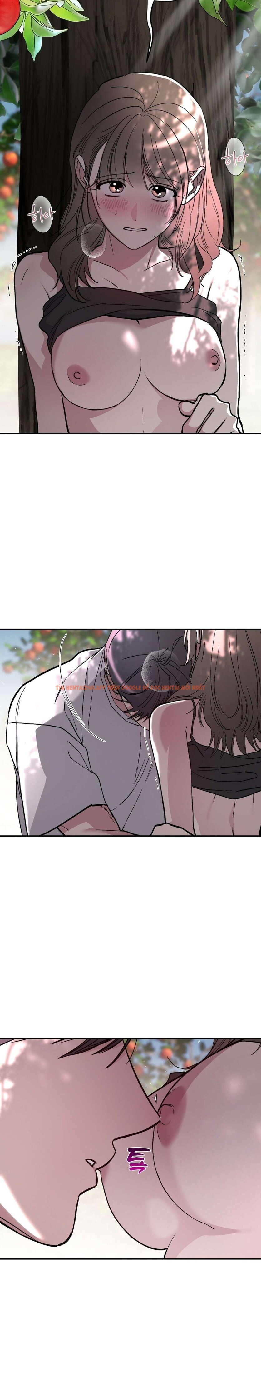 Xem ảnh [18+] Chuyện Tình Vườn Cây Ăn Quả - Chapter 4 - 9 1 - Truyenhentaiz.net
