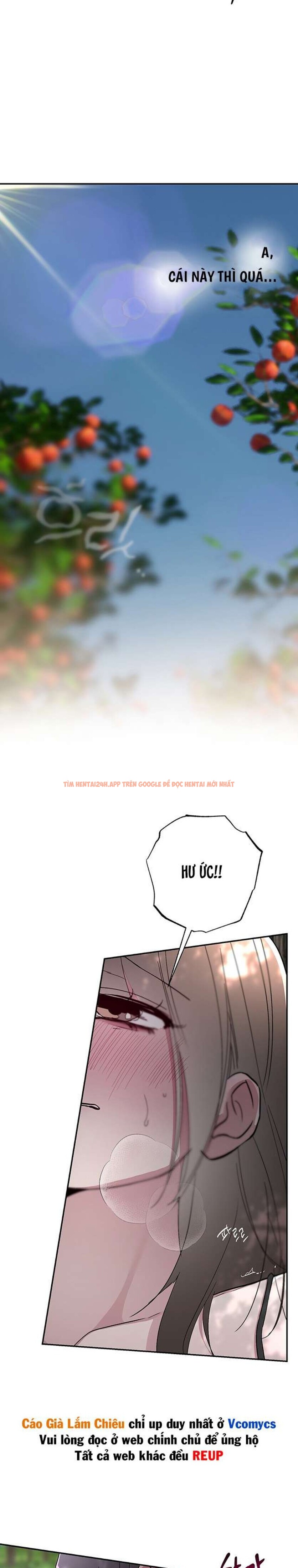 Xem ảnh [18+] Chuyện Tình Vườn Cây Ăn Quả - Chapter 5 - 3 1 - Truyenhentaiz.net