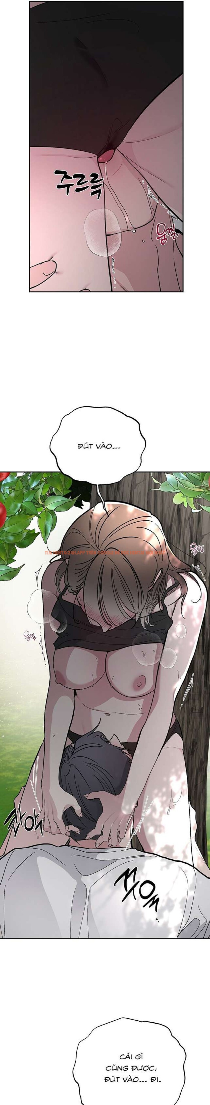 Xem ảnh [18+] Chuyện Tình Vườn Cây Ăn Quả - Chapter 5 - 4 0 - Truyenhentaiz.net