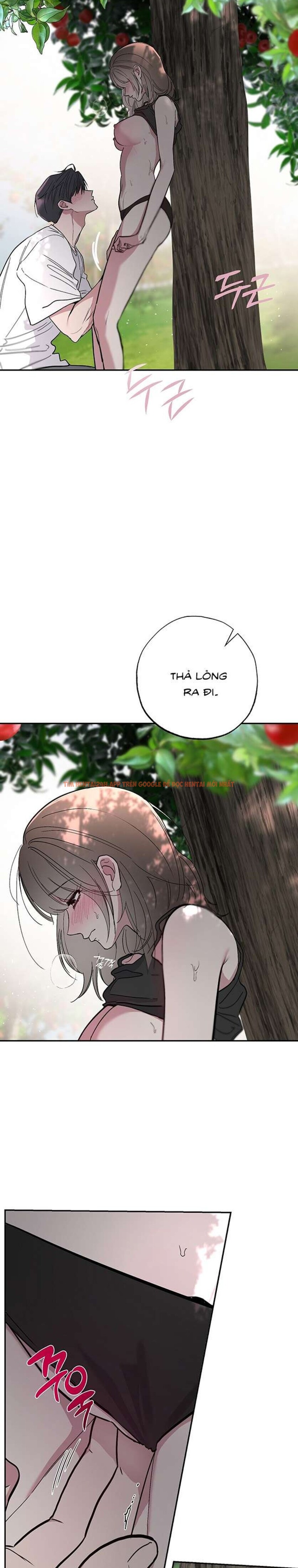 Xem ảnh [18+] Chuyện Tình Vườn Cây Ăn Quả - Chapter 5 - 4 3 - Truyenhentaiz.net