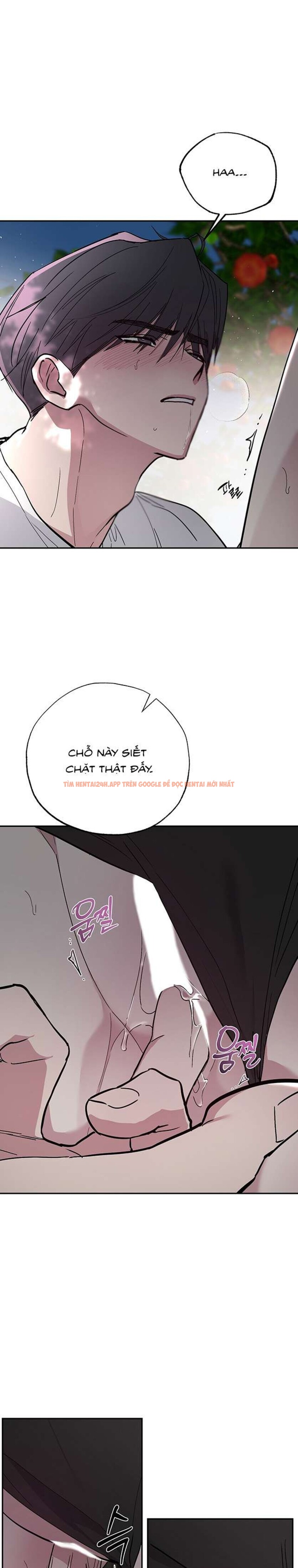 Xem ảnh [18+] Chuyện Tình Vườn Cây Ăn Quả - Chapter 5 - 5 0 - Truyenhentaiz.net