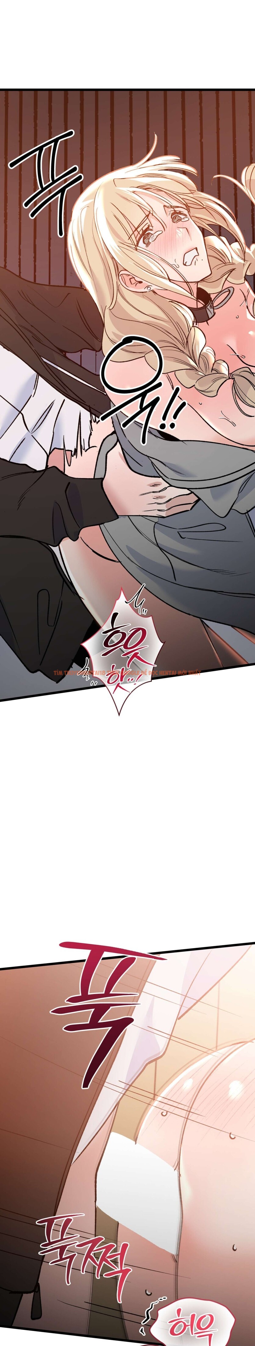 Xem ảnh [18+] Cùng Các Cấp Trên Đi Workshop - Chapter 21 - 6 0 - Truyenhentaiz.net