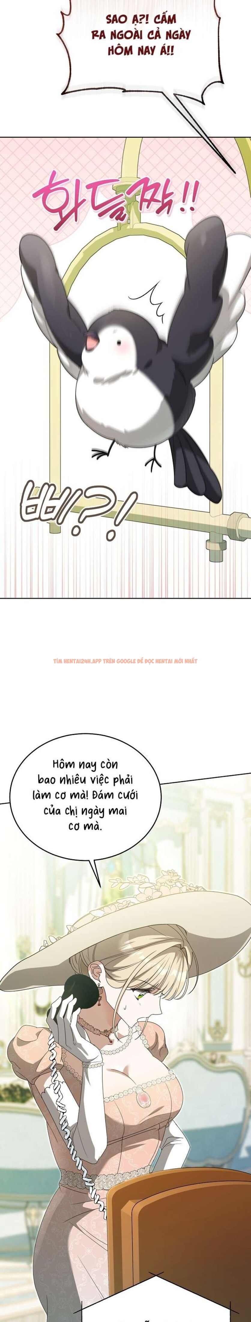Xem ảnh [ 18+ ] Đại Công Tước Chó Má Của Tôi - Chapter 11 - 10 2 - Truyenhentaiz.net