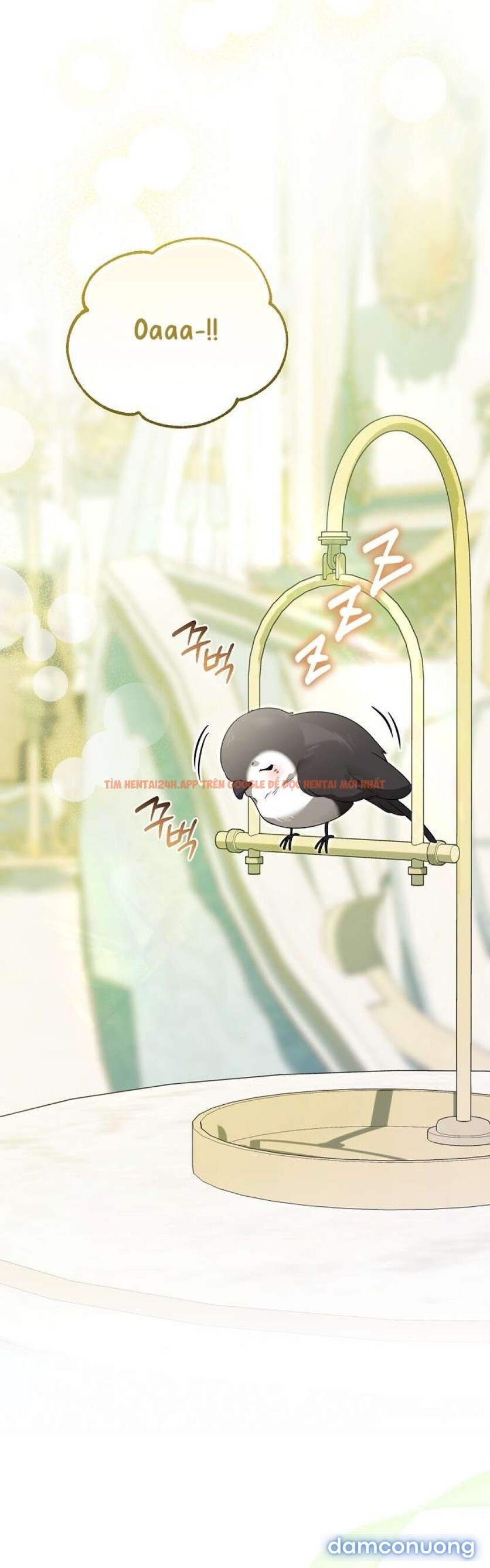 Xem ảnh [ 18+ ] Đại Công Tước Chó Má Của Tôi - Chapter 11 - 9 2 - Truyenhentaiz.net