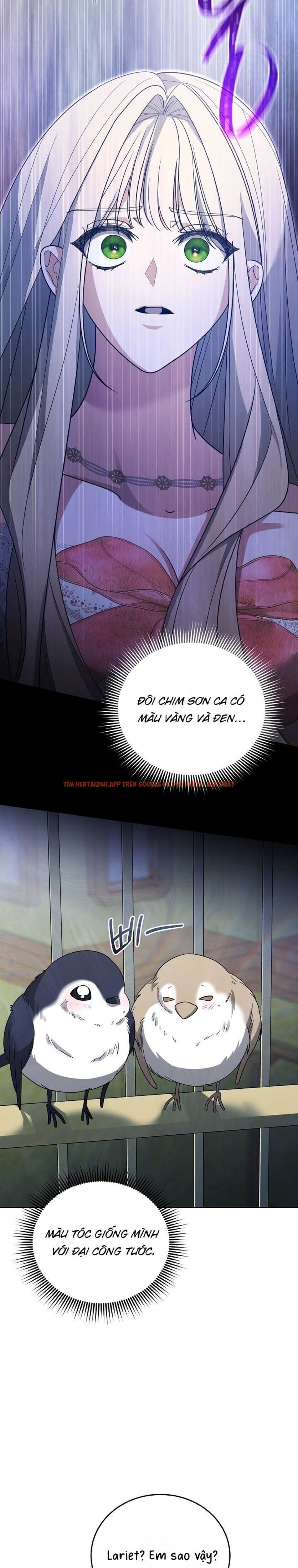 Xem ảnh [ 18+ ] Đại Công Tước Chó Má Của Tôi - Chapter 2 - 11 1 - Truyenhentaiz.net