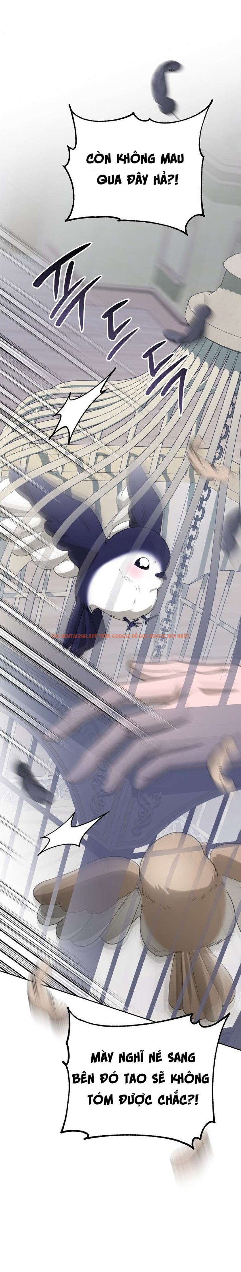Xem ảnh [ 18+ ] Đại Công Tước Chó Má Của Tôi - Chapter 2 - 12 0 - Truyenhentaiz.net