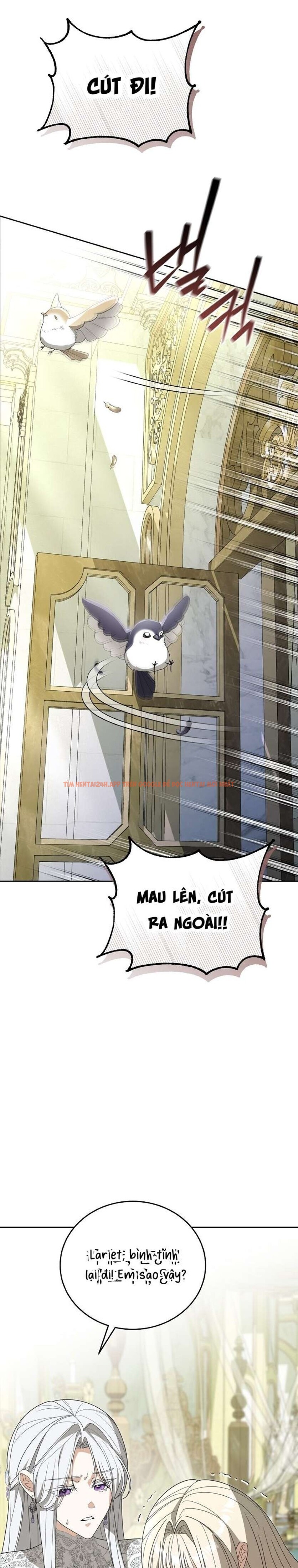 Xem ảnh [ 18+ ] Đại Công Tước Chó Má Của Tôi - Chapter 2 - 12 1 - Truyenhentaiz.net