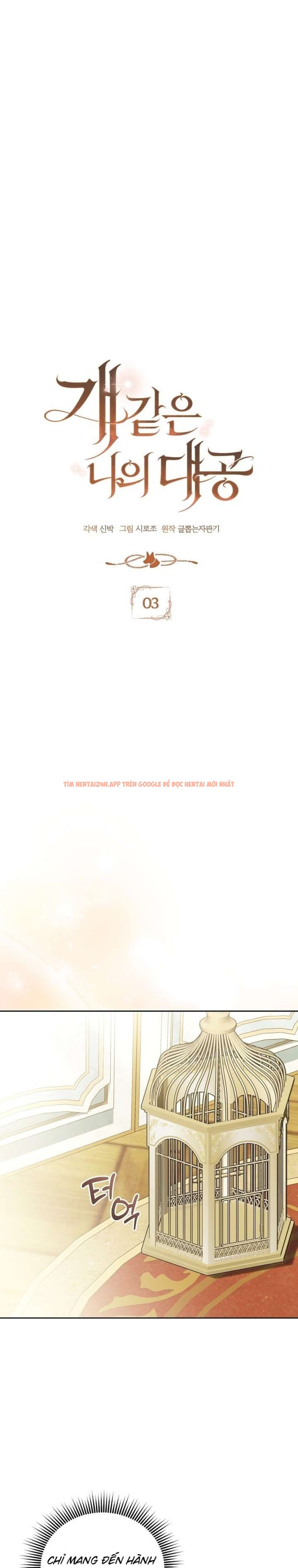 Xem ảnh [ 18+ ] Đại Công Tước Chó Má Của Tôi - Chapter 3 - 5 2 - Truyenhentaiz.net