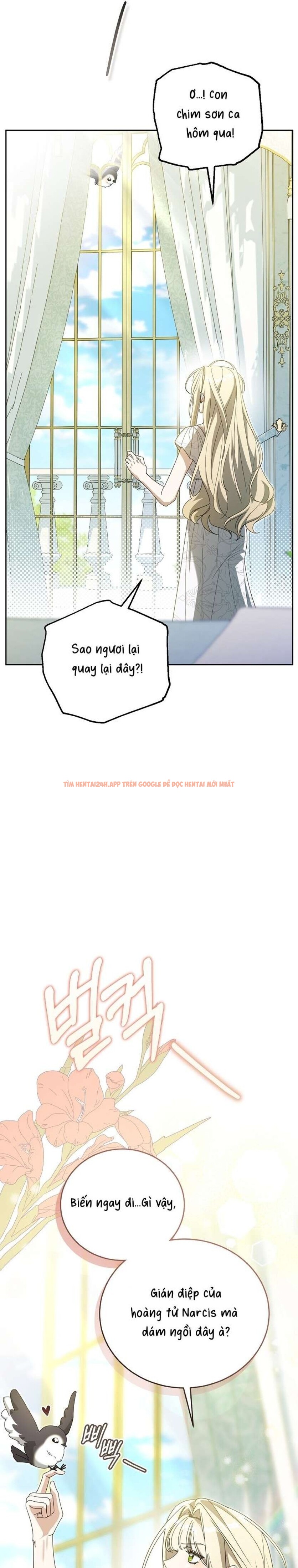 Xem ảnh [ 18+ ] Đại Công Tước Chó Má Của Tôi - Chapter 4 - 7 0 - Truyenhentaiz.net