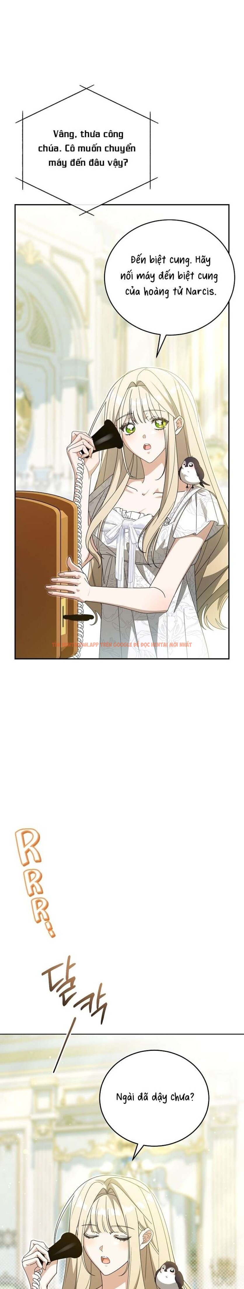 Xem ảnh [ 18+ ] Đại Công Tước Chó Má Của Tôi - Chapter 4 - 8 2 - Truyenhentaiz.net