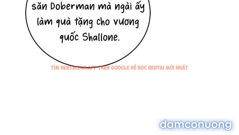 Xem ảnh [ 18+ ] Đại Công Tước Chó Má Của Tôi - Chapter 4 - 9 3 - Truyenhentaiz.net