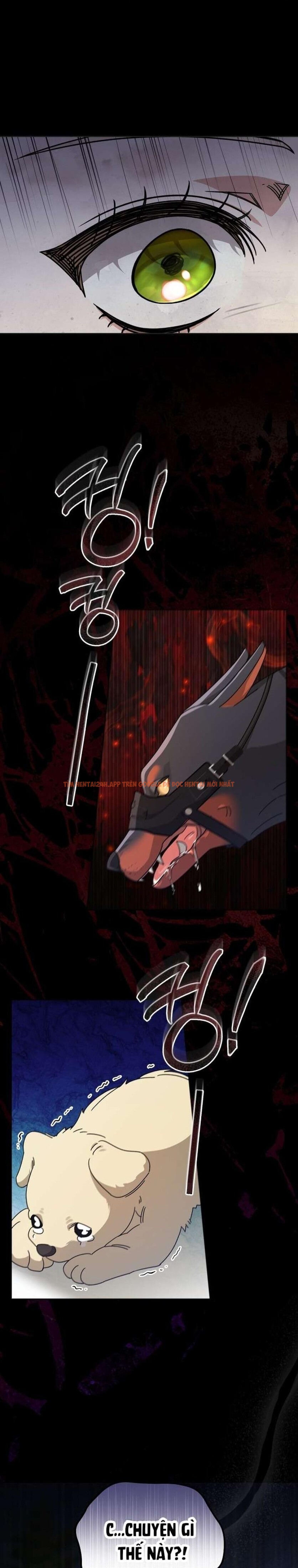 Xem ảnh [ 18+ ] Đại Công Tước Chó Má Của Tôi - Chapter 5 - 1 0 - Truyenhentaiz.net