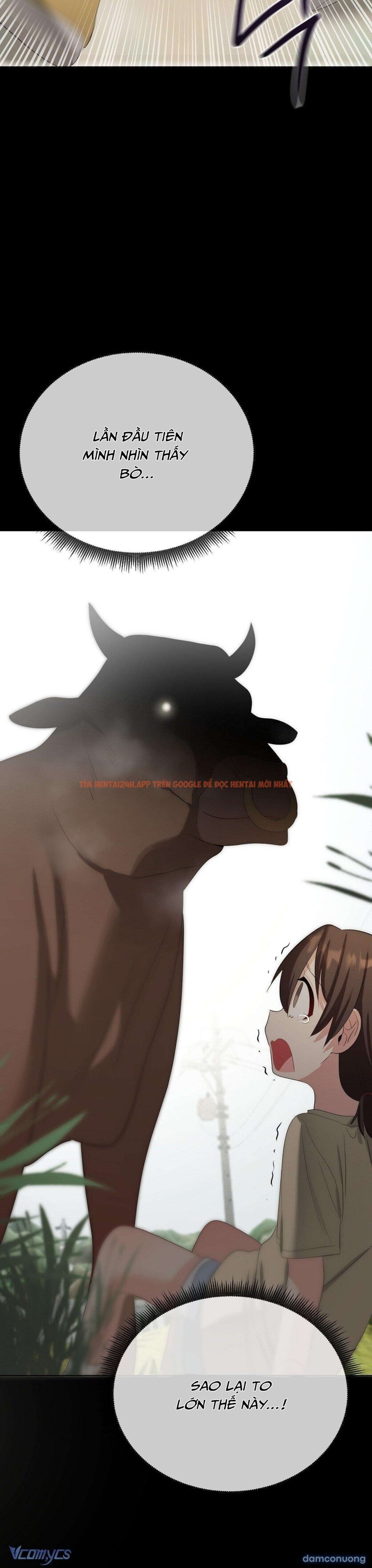 Xem ảnh 5 3 trong truyện hentai [18+] Đồ Cầm Thú - Chapter 19 - www.hentaitvn.net