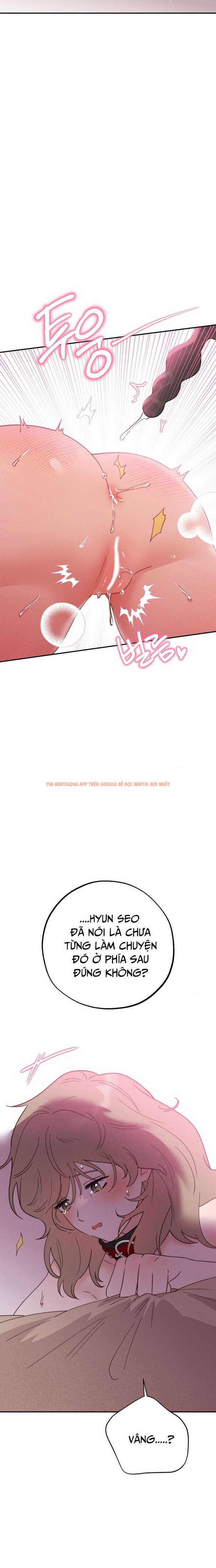 Xem ảnh 10 0 trong truyện hentai [18+] Họ Sẽ Mãi Hạnh Phúc Bên Nhau - Chapter 10 - hentaitvn.net