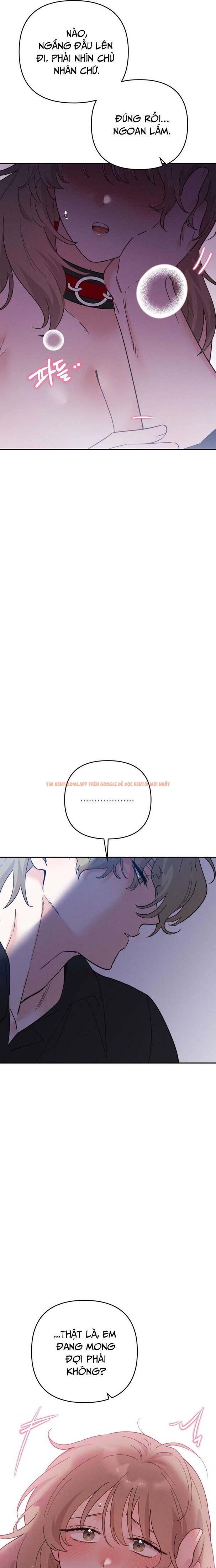 Xem ảnh 7 0 trong truyện hentai [18+] Họ Sẽ Mãi Hạnh Phúc Bên Nhau - Chapter 10 - hentaitvn.net