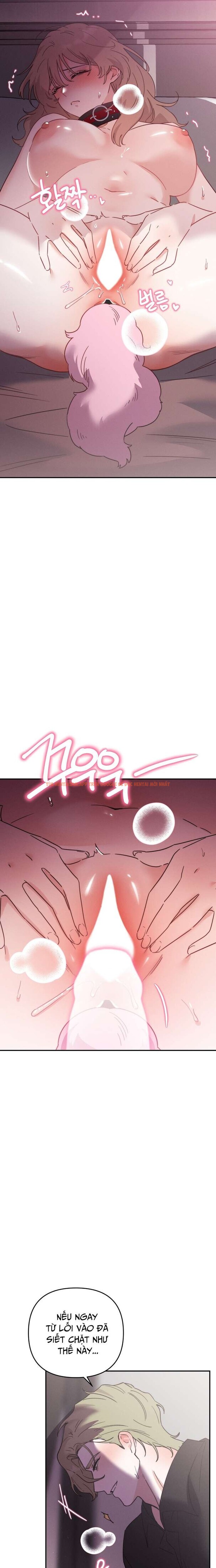 Xem ảnh 9 0 trong truyện hentai [18+] Họ Sẽ Mãi Hạnh Phúc Bên Nhau - Chapter 10 - hentaitvn.net