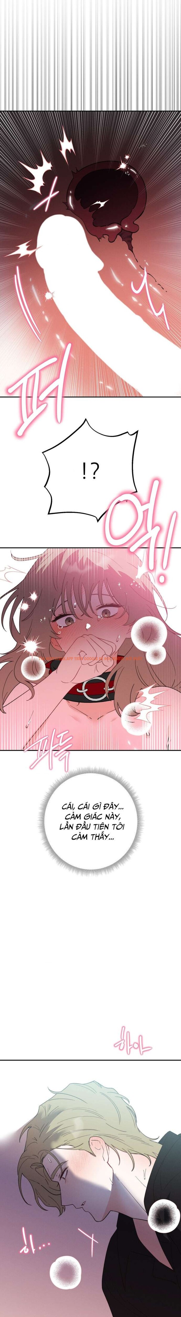 Xem ảnh 4 0 trong truyện hentai [18+] Họ Sẽ Mãi Hạnh Phúc Bên Nhau - Chapter 11 - hentaitvn.net