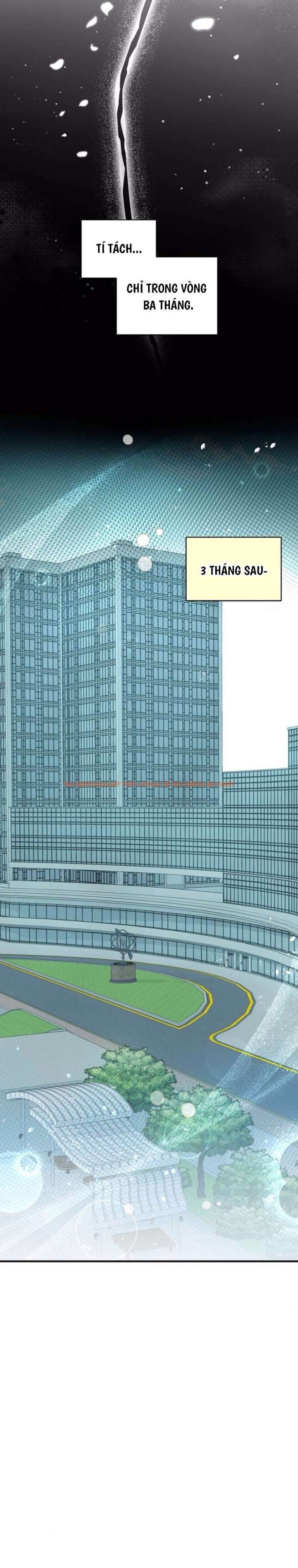 Xem ảnh [18+] Khi Làm Bài Tập Nhóm Với Hậu Bối Mình Ghét - Chapter 5 - 10 1 - Truyenhentaiz.net