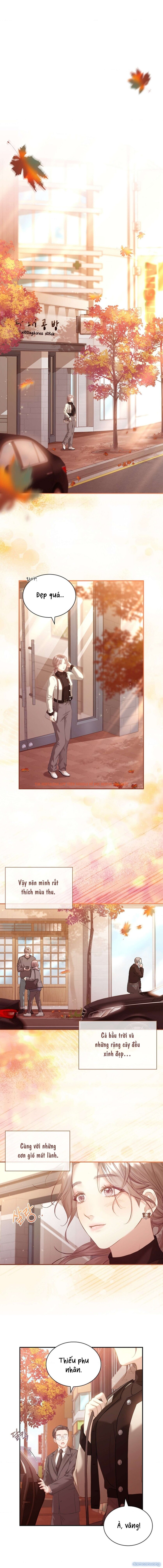 Xem ảnh [ 18+ Không Che ] Người Vợ Trẻ - Chapter 24 - 5 - Truyenhentaiz.net