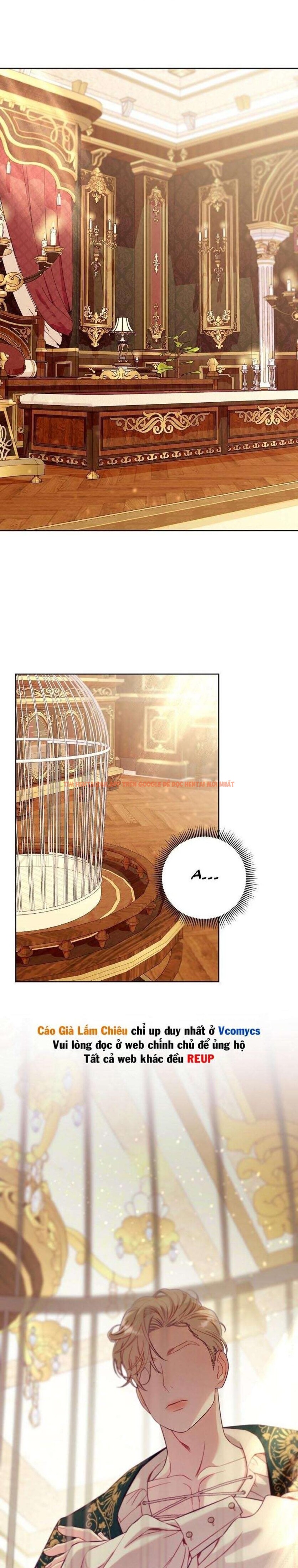 Xem ảnh [18+] Lồng Chim Của Người Sưu Tầm - Chapter 2 - 1 0 - Truyenhentaiz.net