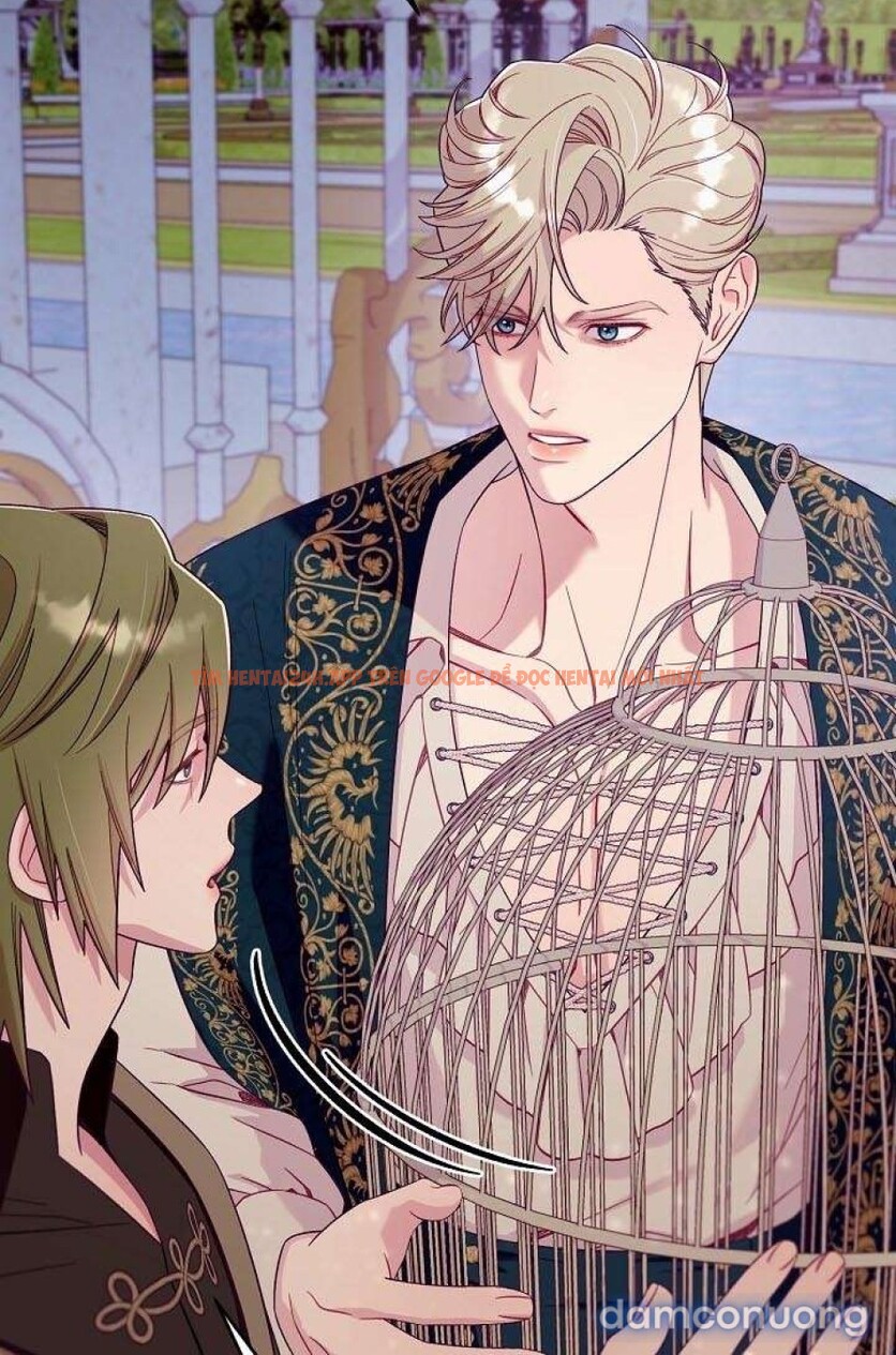 Xem ảnh [18+] Lồng Chim Của Người Sưu Tầm - Chapter 2 - 10 1 - Truyenhentaiz.net