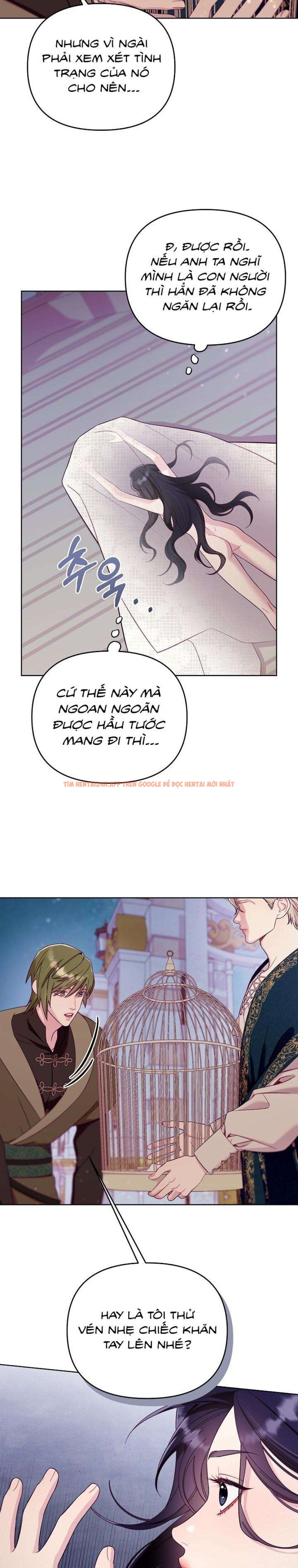 Xem ảnh [18+] Lồng Chim Của Người Sưu Tầm - Chapter 2 - 11 0 - Truyenhentaiz.net