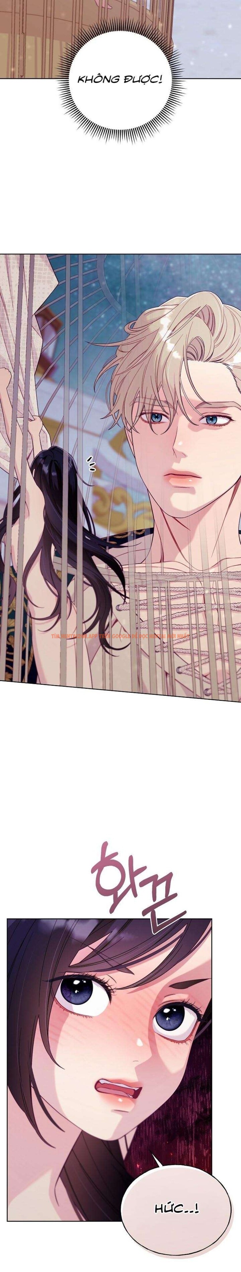 Xem ảnh [18+] Lồng Chim Của Người Sưu Tầm - Chapter 2 - 13 0 - Truyenhentaiz.net