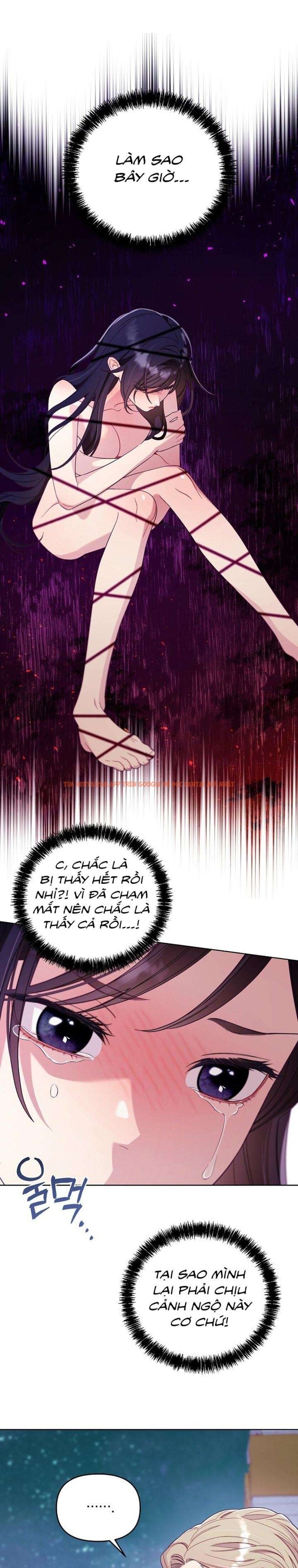 Xem ảnh [18+] Lồng Chim Của Người Sưu Tầm - Chapter 2 - 14 0 - Truyenhentaiz.net