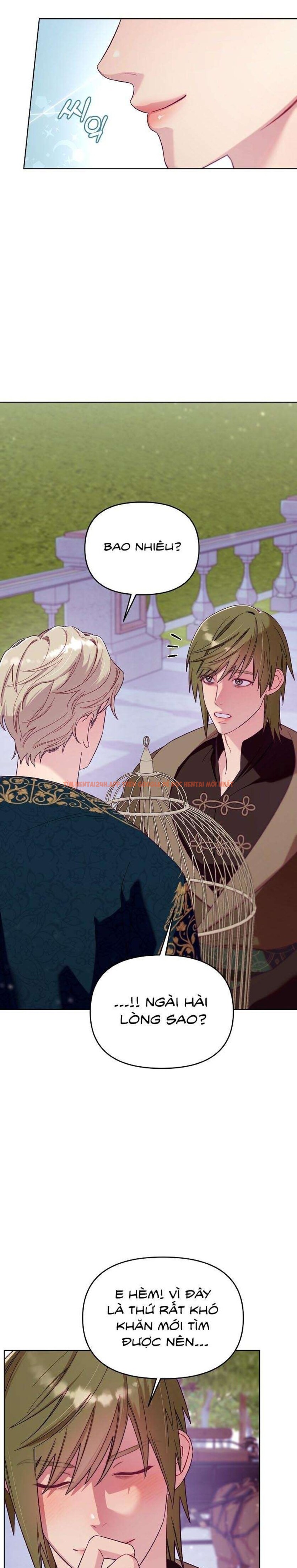 Xem ảnh [18+] Lồng Chim Của Người Sưu Tầm - Chapter 2 - 15 0 - Truyenhentaiz.net