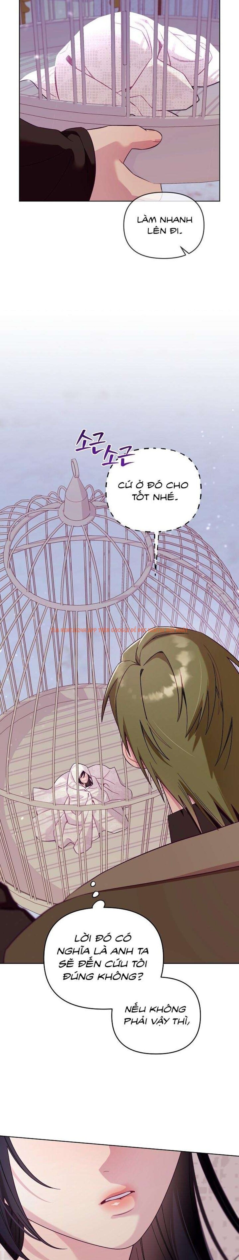 Xem ảnh [18+] Lồng Chim Của Người Sưu Tầm - Chapter 2 - 17 0 - Truyenhentaiz.net
