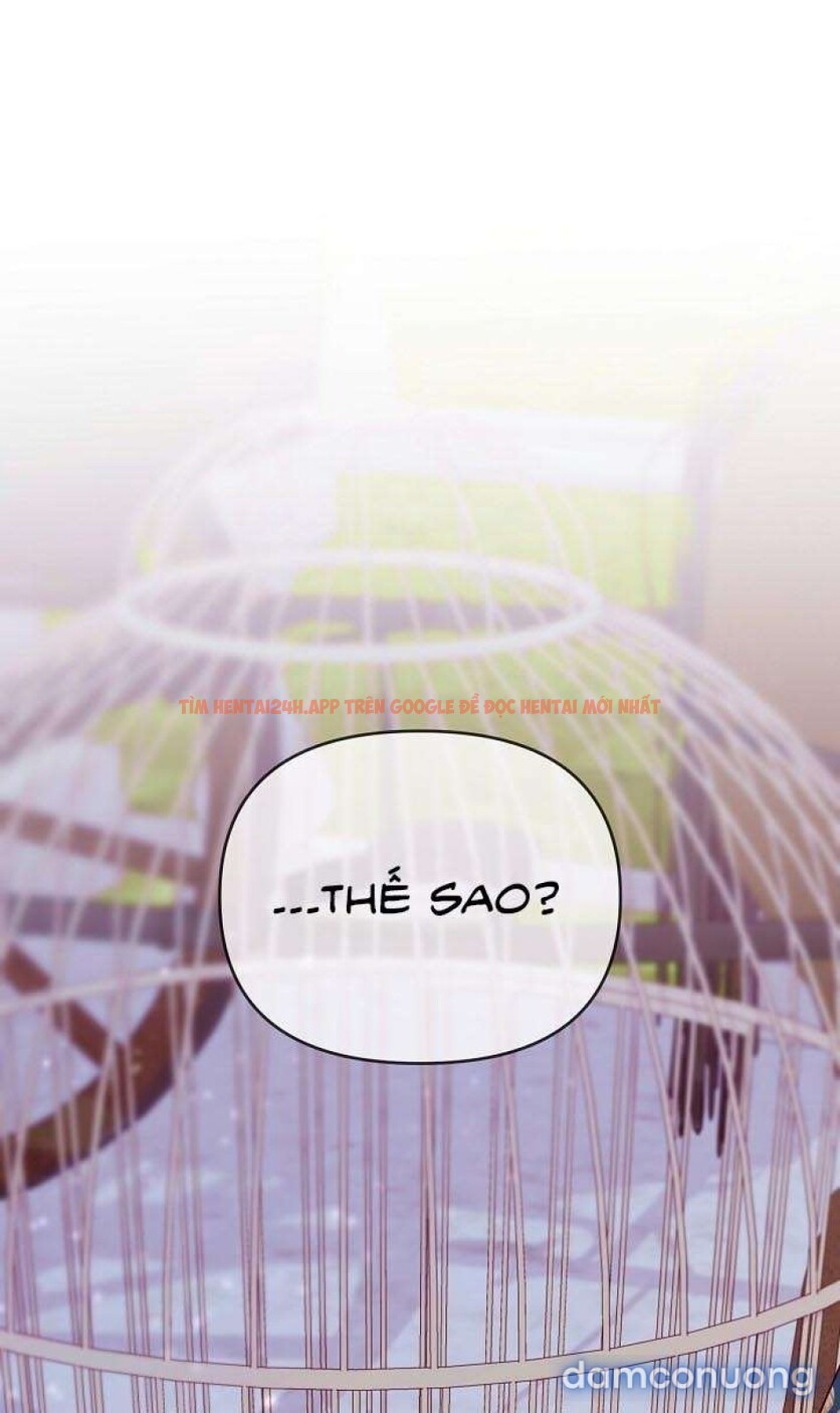 Xem ảnh [18+] Lồng Chim Của Người Sưu Tầm - Chapter 2 - 19 1 - Truyenhentaiz.net