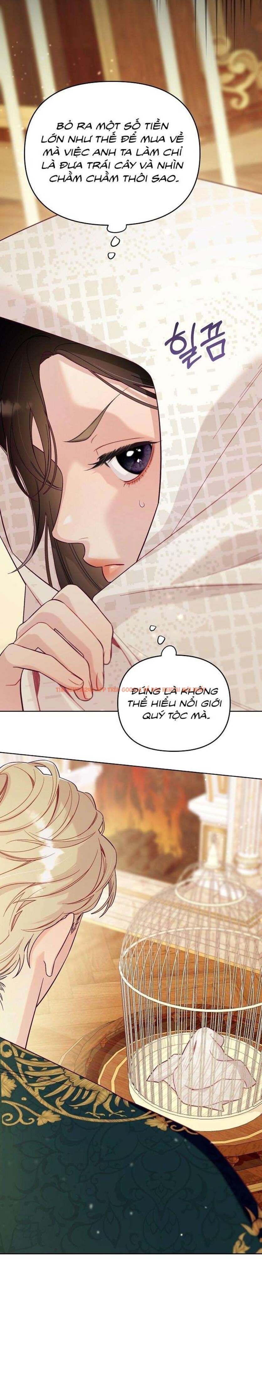 Xem ảnh [18+] Lồng Chim Của Người Sưu Tầm - Chapter 2 - 21 0 - Truyenhentaiz.net