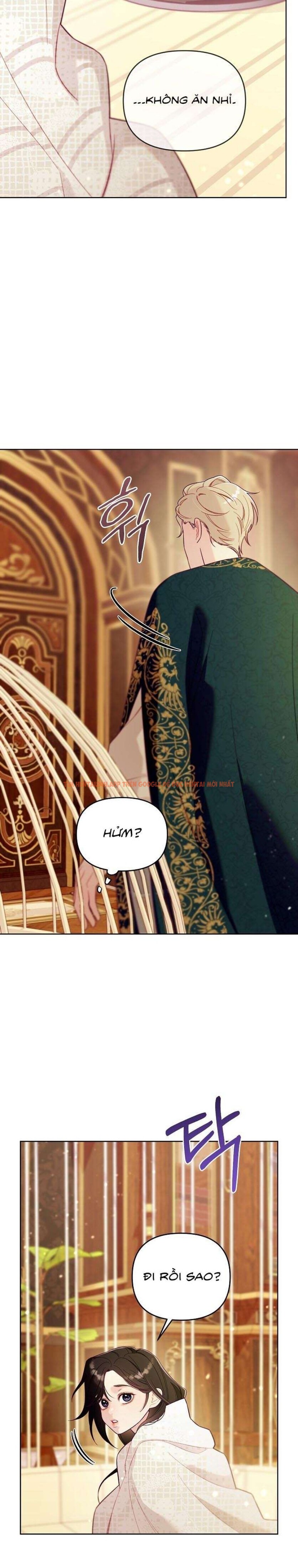 Xem ảnh [18+] Lồng Chim Của Người Sưu Tầm - Chapter 2 - 22 0 - Truyenhentaiz.net