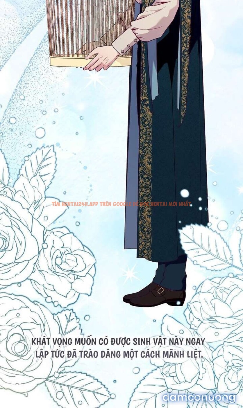 Xem ảnh [18+] Lồng Chim Của Người Sưu Tầm - Chapter 2 - 27 1 - Truyenhentaiz.net