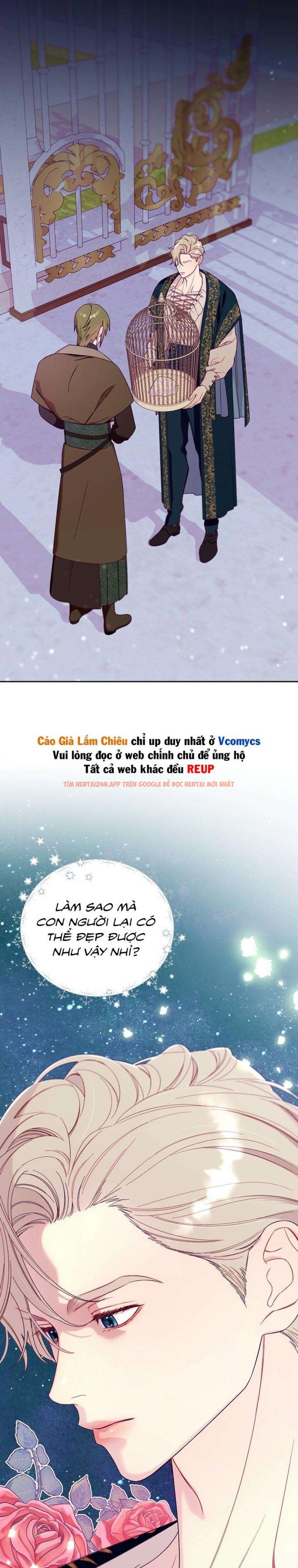 Xem ảnh [18+] Lồng Chim Của Người Sưu Tầm - Chapter 2 - 3 0 - Truyenhentaiz.net