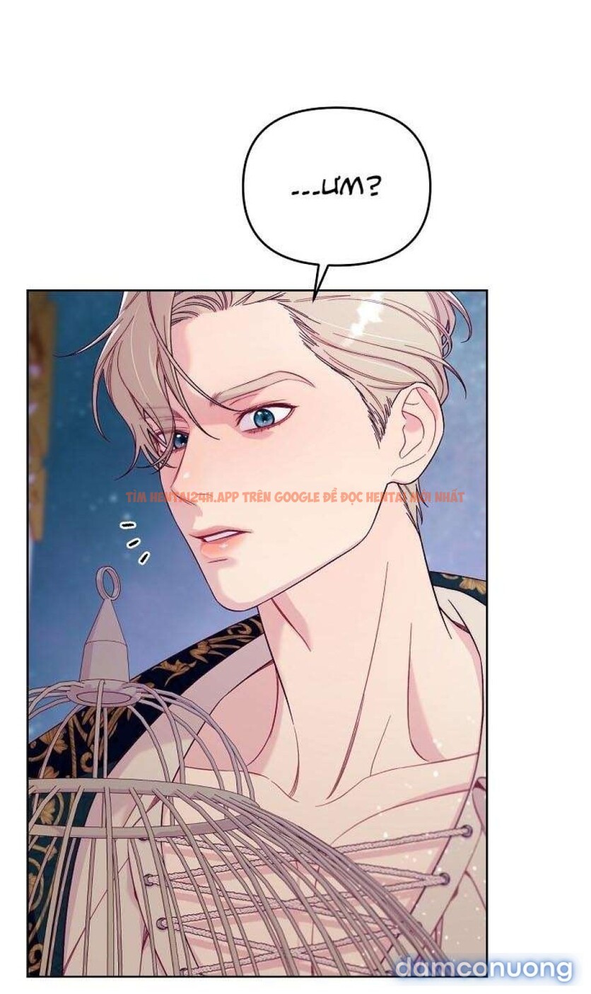 Xem ảnh [18+] Lồng Chim Của Người Sưu Tầm - Chapter 2 - 6 1 - Truyenhentaiz.net