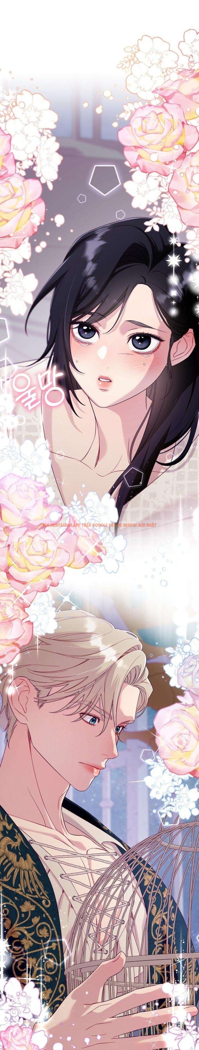 Xem ảnh [18+] Lồng Chim Của Người Sưu Tầm - Chapter 2 - 7 0 - Truyenhentaiz.net