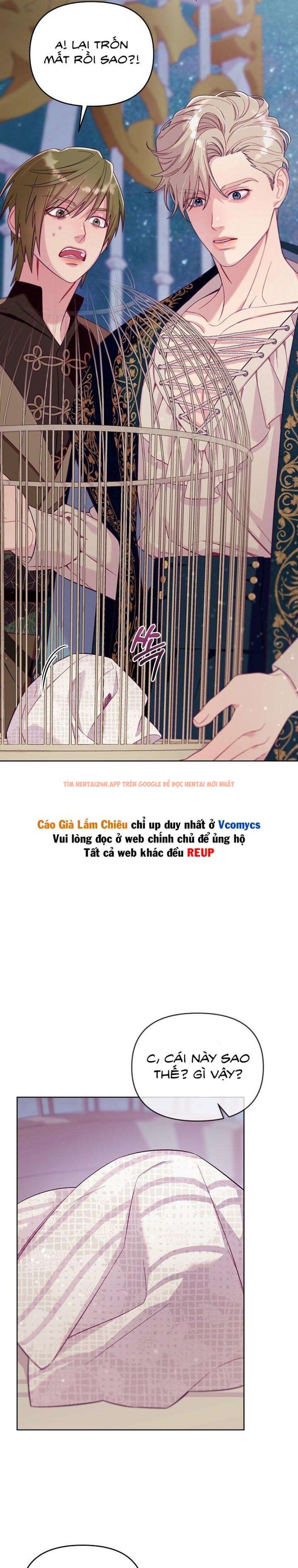 Xem ảnh [18+] Lồng Chim Của Người Sưu Tầm - Chapter 2 - 8 0 - Truyenhentaiz.net